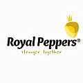 Royal Peppers BV vervangt oude TL door ledpanelen